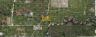 0 Holopaw Groves Rd Unit MFRO6241752, Saint Cloud, FL 34773
