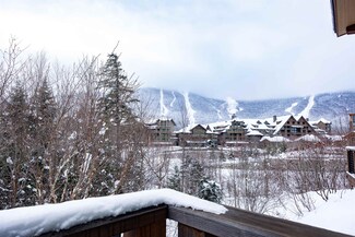 47 Sterling Ln, Stowe, VT 05672