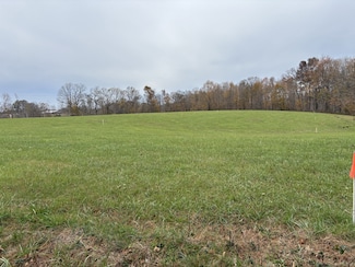 10 Hanestown Rd, Lafayette, TN 37083