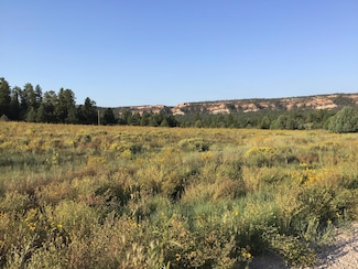 Lot 14 E Elk Dr, Ramah, NM 87321