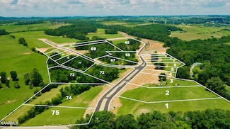 LOT6 832 Sophie Dr, Greenback, TN 37742