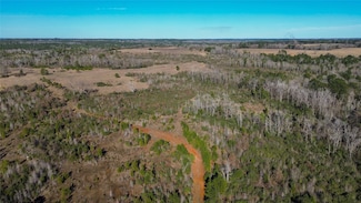 000 County Road 2240, Grapeland, TX 75844