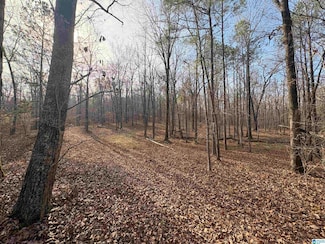 4540 Cabin Rd, McCalla, AL 35022