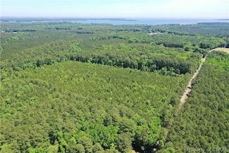 16ac Ridge Rd, Cobbs Creek, VA 23035