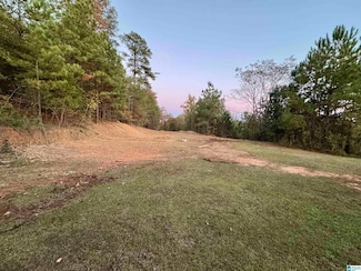 21910 Eastern Valley Rd, McCalla, AL 35111