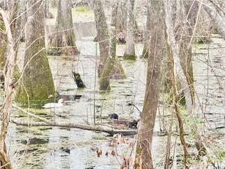 TBD Hills Rd, Holden, LA 70744