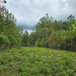 Lot 11 Holly Woods, Robbins, TN 38562