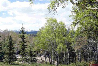 151 Ridge Rd, Cimarron, CO 81220