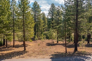 11125 China Camp Rd, Truckee, CA 96161