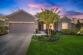 10446 Flagstaff Falls Ave, Riverview, FL 33578