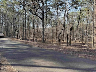 93 Ronquillo Way, Hot Springs Village, AR 71909