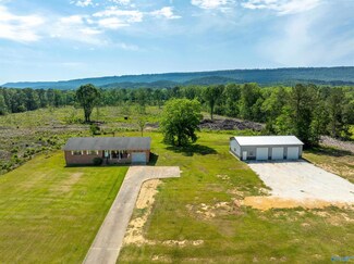 816 Wood St, Steele, AL 35987