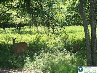 197 Hickory Run Ln, Penn Forest Township, PA 18229