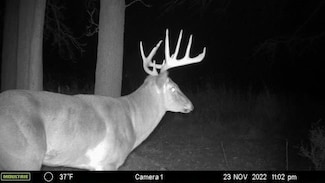 0 Stearns Rd, Somerset Township, MI