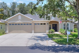 1233 Emerald Hill Way, Valrico, FL 33594