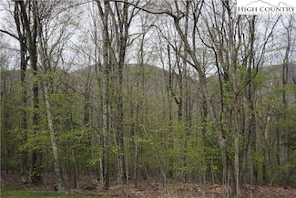 21 Fairway Ridge Dr, West Jefferson, NC 28694
