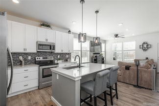 688 N Bersshine Ct, Watkins, CO 80137