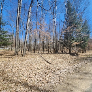 9791 Fawn Ridge Rd, Canadian Lakes, MI 49346