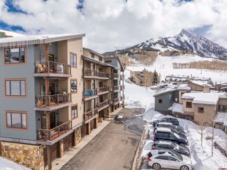 11 Crested Mountain Ln Unit L8, Crested Butte, CO 81225