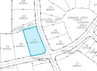 0 Lot 77 Les Maisons Unit 4031950, Flowood, MS 39232