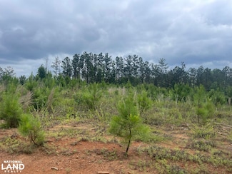 0 Providence Church Rd, Ethelsville, AL 35461