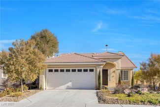 9800 Panorama Cliff Dr, Las Vegas, NV 89134