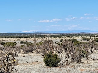 110 Brazos Loop, Estancia, NM 87016