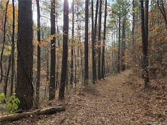 000 Cedar Branch Rd, Hattieville, AR 72063