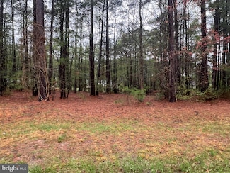 Lot 6 Royal Way, Cople, VA 22520