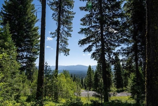 645 Migratory Ridge Way Unit 79, McCall, ID 83638