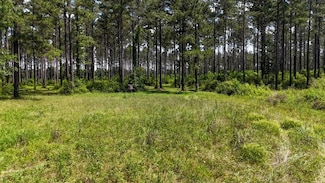 8937 Velma Ln, Magnolia, MS 39652
