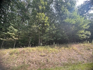 11 Tempest Ln, Holiday Island, AR 72631