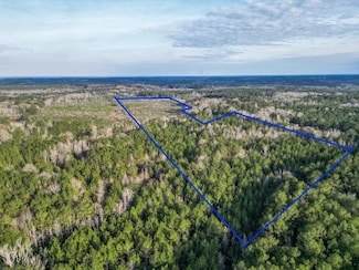 4060 Mcclain Rd, Liberty, MS 39645