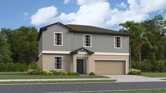 22167 Blazing Star Run, Land O' Lakes, FL 34637