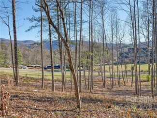 99999 Sharon Rd, Fairview, NC 28730