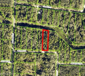7200 Norway St, Webster, FL 33597