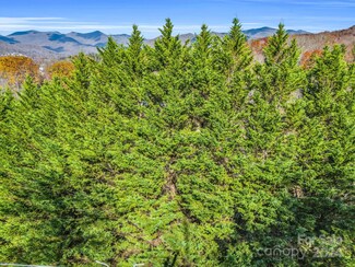 101 Cottage Settings Ln Unit 283, Black Mountain, NC 28711