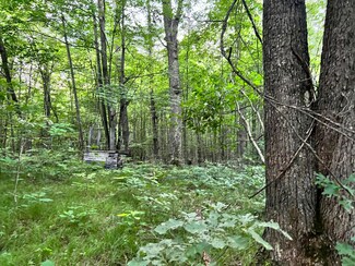 Parcel A S Pine Ave, Newaygo, MI 49337