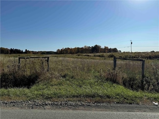 00 Mee Rd, Poland, NY 14733