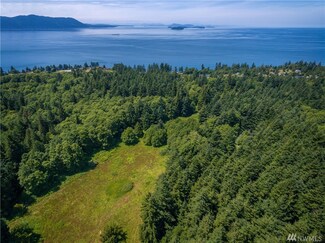 0 Blizard Rd Unit 1162341, Lummi Island, WA 98262