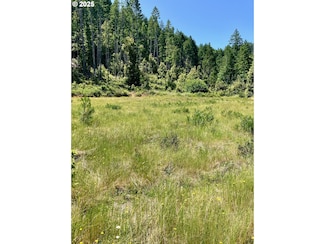 0 Redwood Hwy Unit 598224443, O'Brien, OR 97534