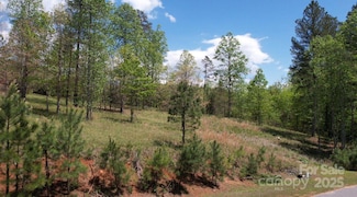 2109 Inlet Shore Rd NE, Valdese, NC 28690