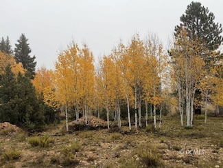 3215 Debonair Dr, Duck Creek Village, UT 84762