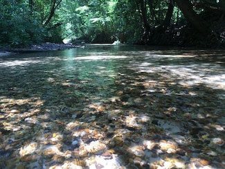 . Givens- Mullins Rd, Monticello, MS 39654