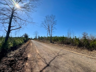 494 Collier Rd, Golden, MS 38847