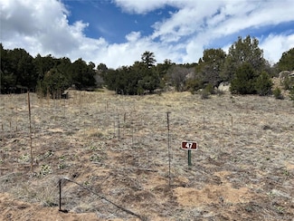 47 White Cloud Dr, Cotopaxi, CO 81223