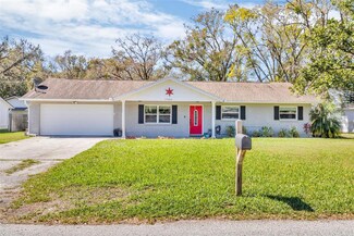 17002 Melba Ln, Lutz, FL 33549
