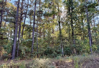 TBD Ole Long Pull Rd, Livingston, TX 77351