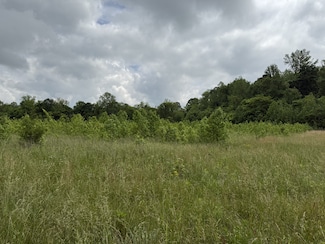 265 Lantern Ln, Olivehill, TN 38475