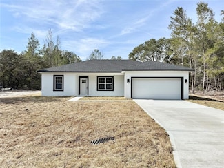 6 Malauka Pass, Ocklawaha, FL 32179